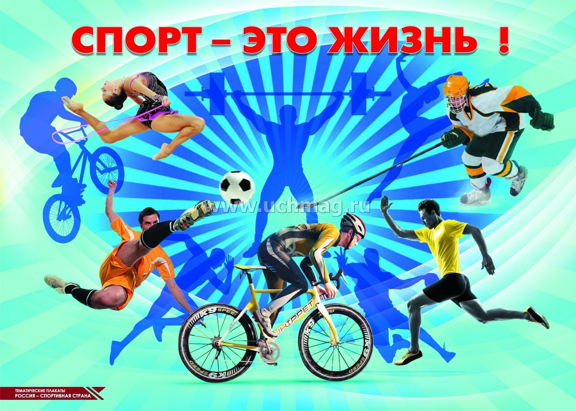 Кубок наций. Наши спортсмены.