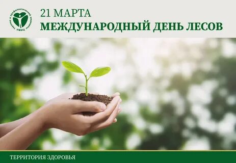 День леса.