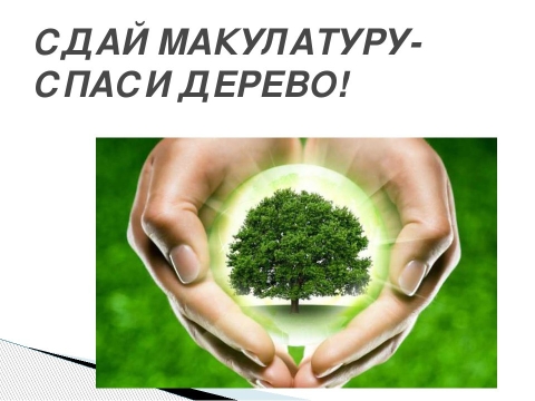 Сдай макулатуру-спаси дерево Сдай макулатуру-спаси дерево.