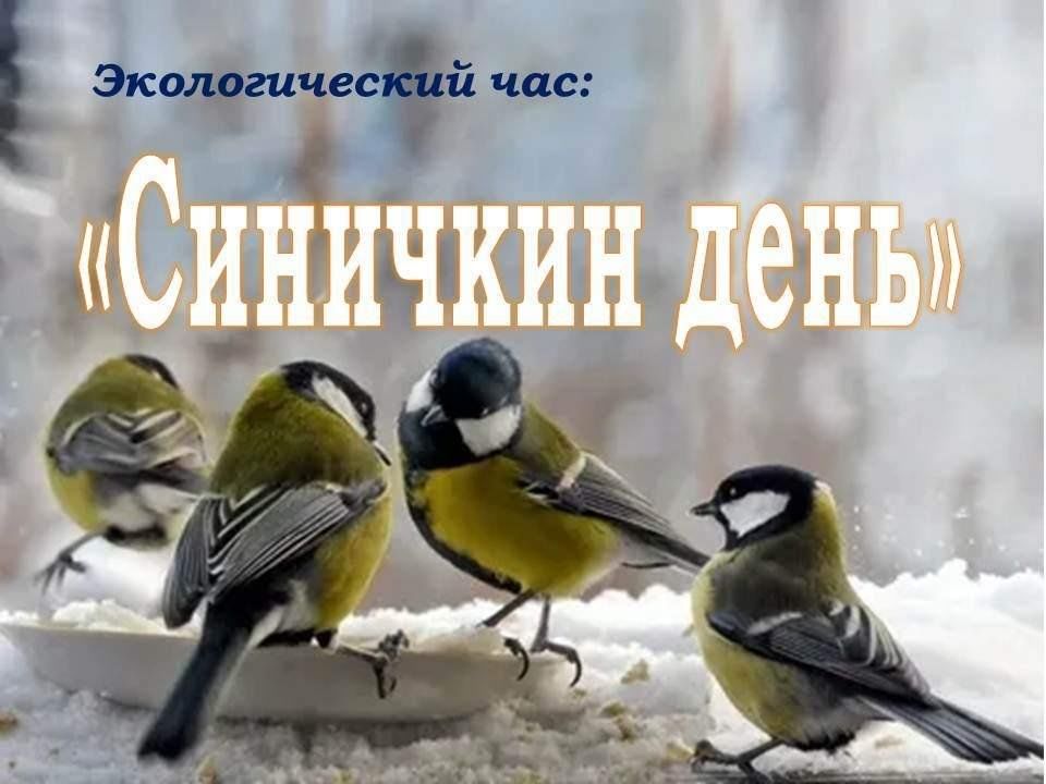 Синичкин день.